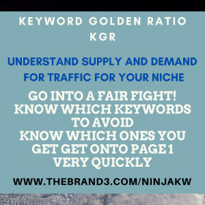 Ninja Keyword Report